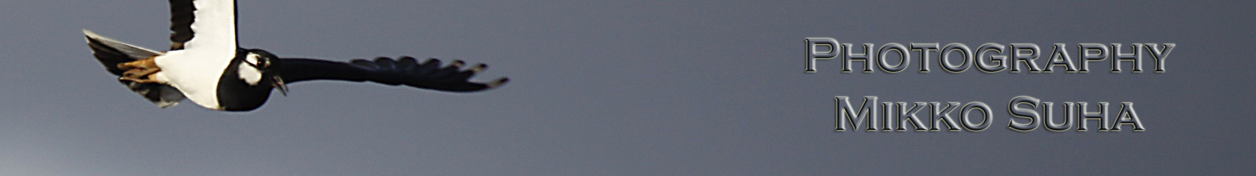 Photography Mikko Suha