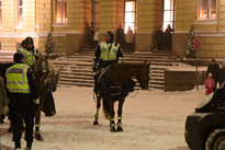 Itsen�isyysp�iv�n lumituisku